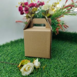 Kotak Makanan Penyimpanan Kardus Oleh-oleh Serbaguna Dus Snack 1